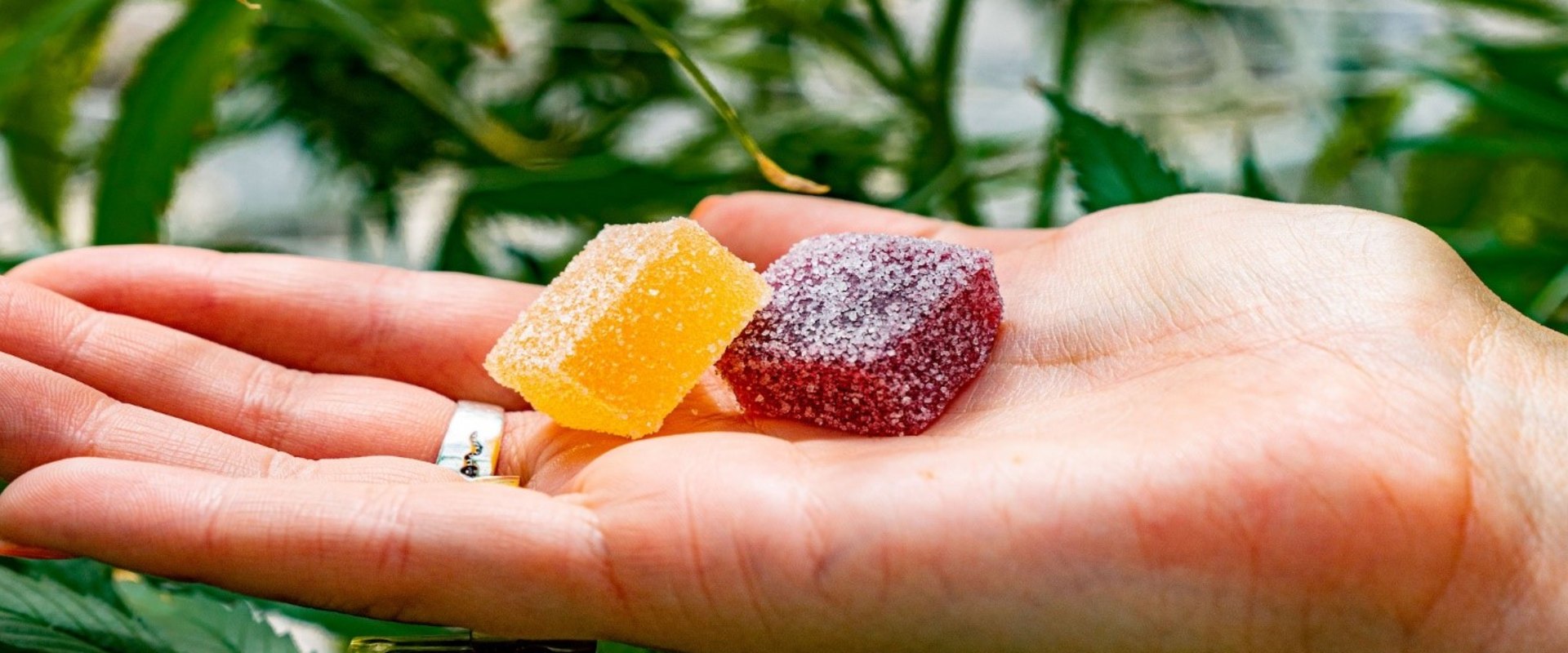 What states are delta 8 gummies legal?